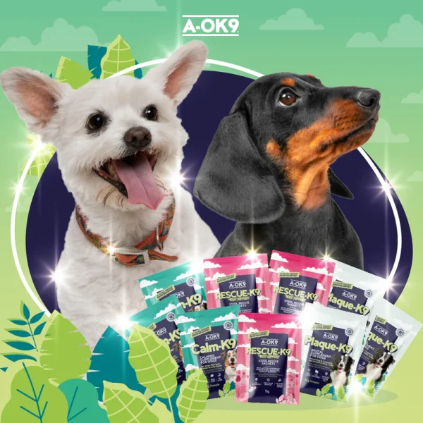 Gói du lịch mẫu [Calm-OK9, Plaque-OK9, Rescue-OK9] - Hình ảnh 5